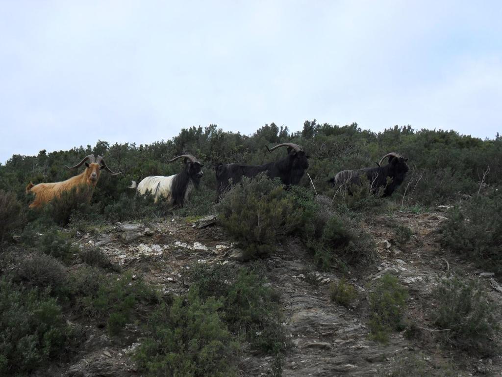 Gite U Licetu A La Campagne Oreta Exterior photo